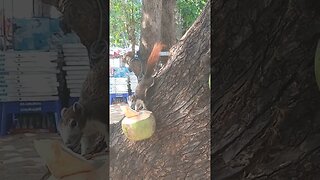 파타야에서 생긴일,은퇴후 할일들, 5060 , 외롭지안은 은퇴, 추억의 동남아여행, 같이가자 다시한번, follow me travel, with me together,