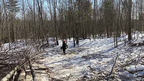 L3400dt getting more firewood