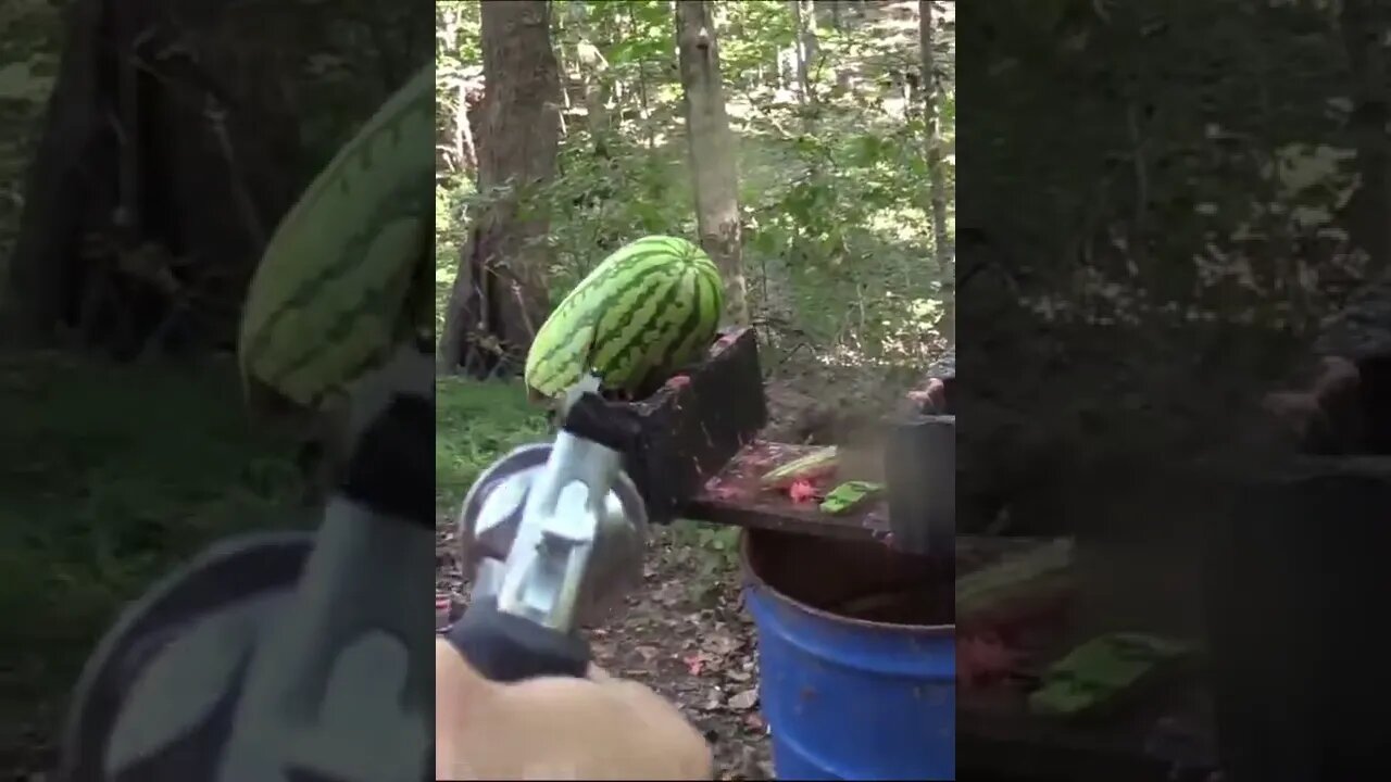 .460 Magnum vs watermelons #shorts