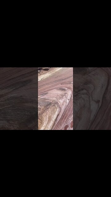 Sawing A Monster Pecan On The Lucas Mill