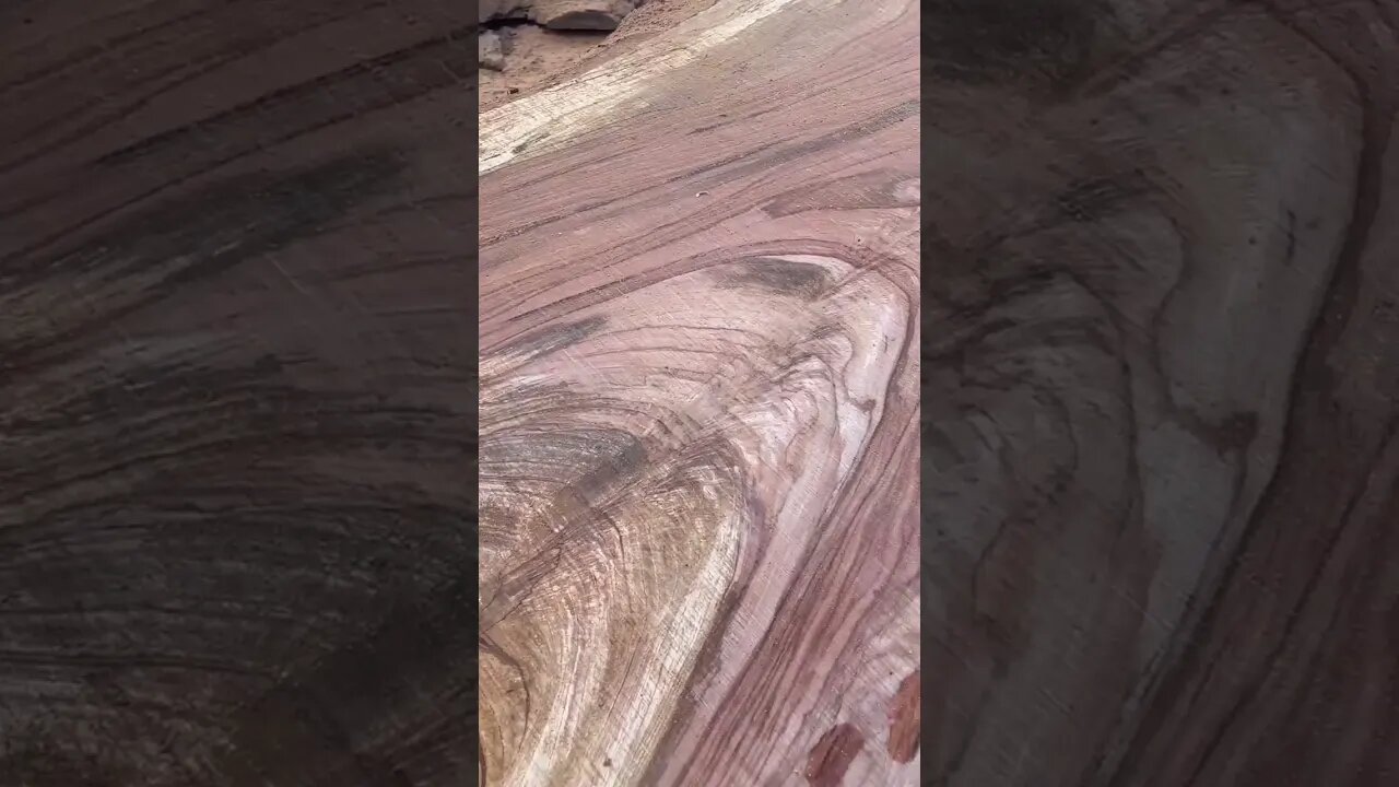 Sawing A Monster Pecan On The Lucas Mill