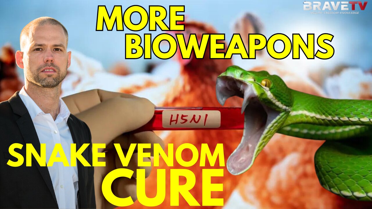 Brave TV - Ep 1761 - Bird Flu on Deck? Snake Venom, The CURE, NOT the Cause