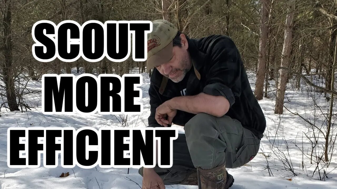 Tips to scout more efficiently with Dan Infalt