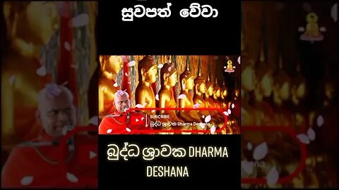 සියලු සත්වයෝ සුවපත් වේවා 🙏🙏🏵️🏵️🙏🙏 #bana #budubana #shorts