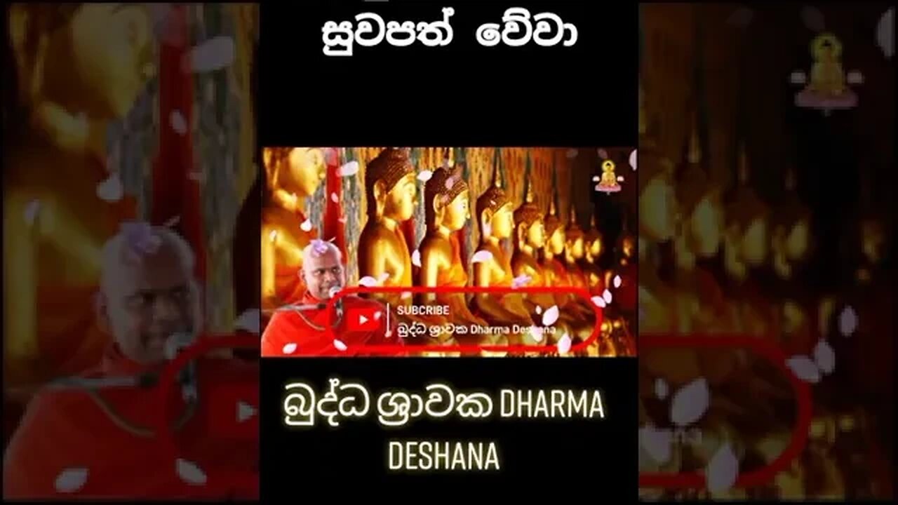 සියලු සත්වයෝ සුවපත් වේවා 🙏🙏🏵️🏵️🙏🙏 #bana #budubana #shorts