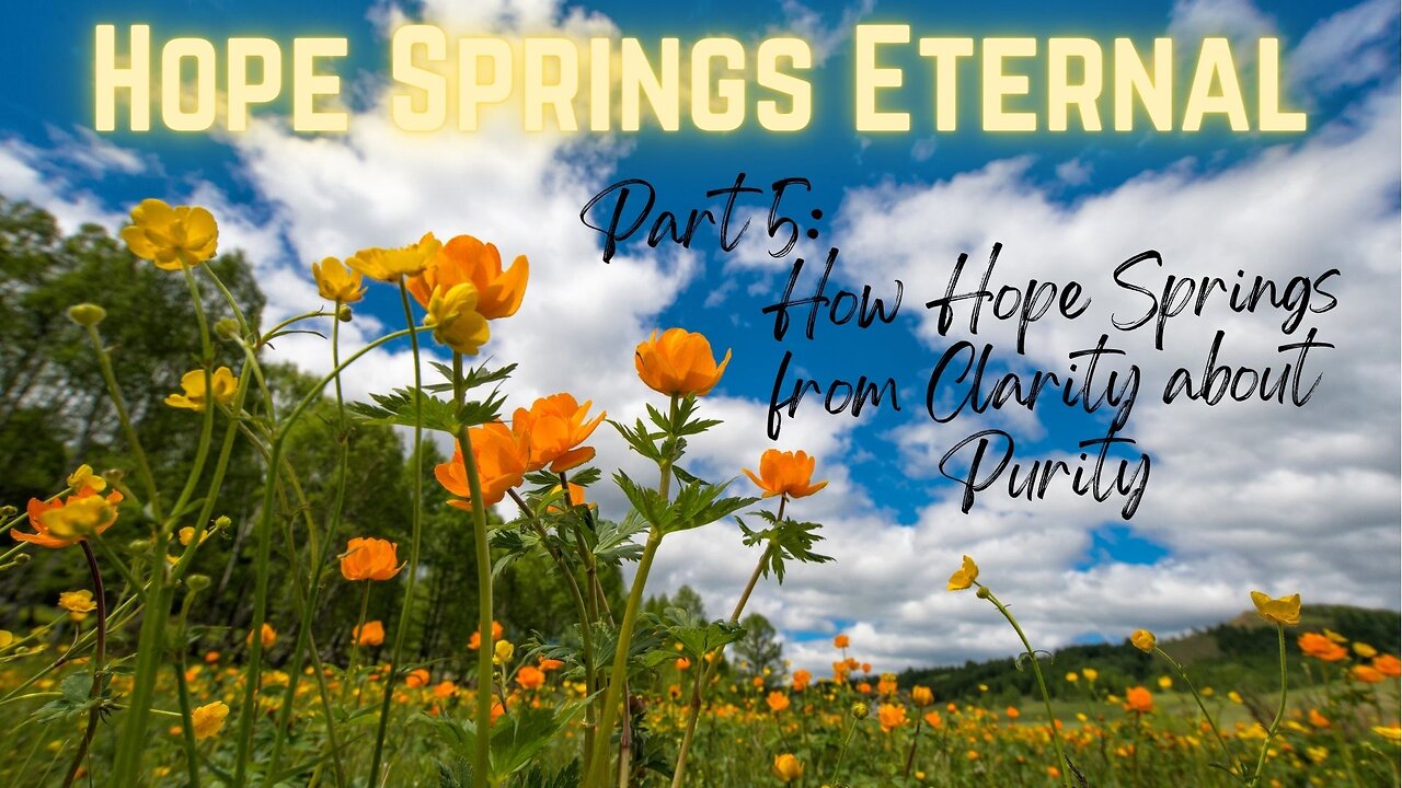 Hope Springs Eternal - Part 5 - How Hope Springs from Clarity about Purity