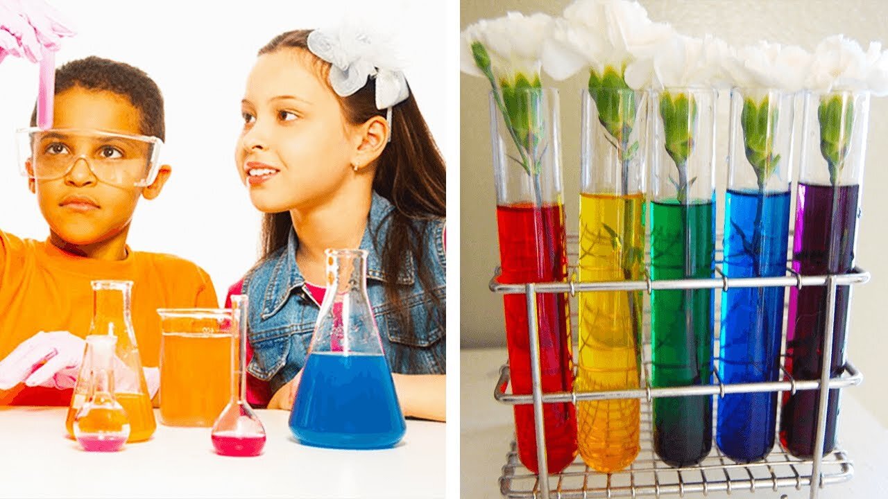 12 Crazy Cool DIY Science Experiments! | Easy and Fun Activities by Blossom