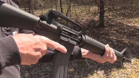 Colt M16 Dissipator Woods Walk