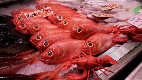 What Japan Fish Market is Like