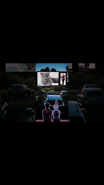 cat cover senorita shorts#shorts #catcute #cover