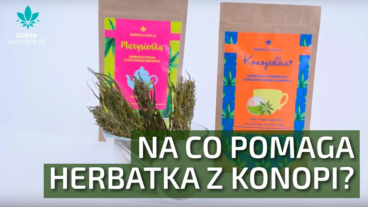 Susz CBD - konopie do picia | Dobrekonopie.pl