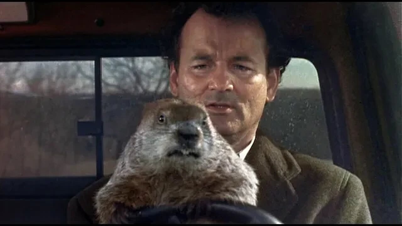 Woke Hollywood is Stuck in a Groundhog Day Cycle