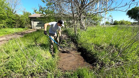 Age CAUGHT UP with the owner, leaving this yard UNTOUCHED for 5 YEARS