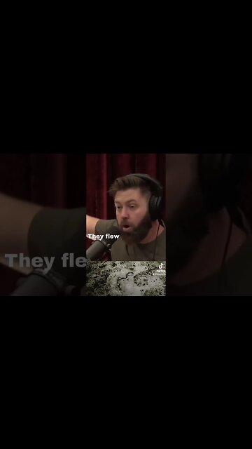 Giant Anaconda Myth on JRE