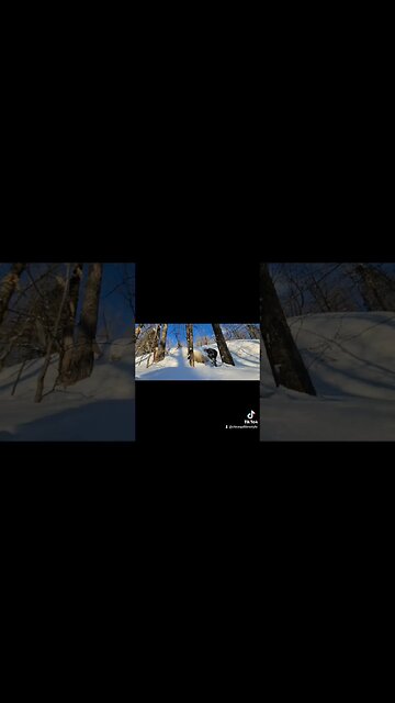 #jump #cliffjump #fail #snowshoeing #omg #monttremblant #ytshortsvideo