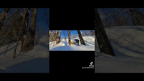 #jump #cliffjump #fail #snowshoeing #omg #monttremblant #ytshortsvideo