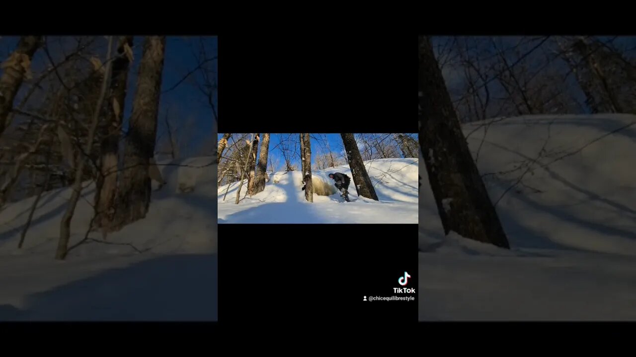 #jump #cliffjump #fail #snowshoeing #omg #monttremblant #ytshortsvideo