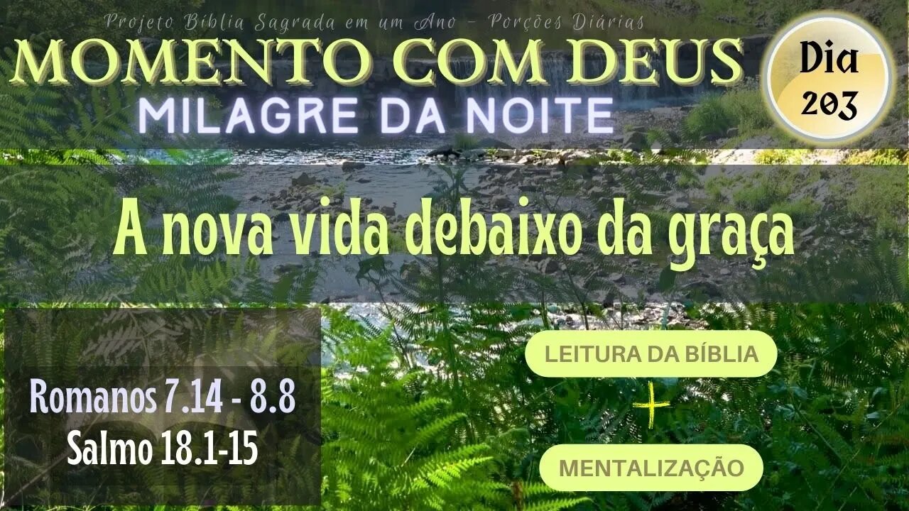 MOMENTO COM DEUS - MILAGRE DA NOITE - Dia 203/365 #biblia