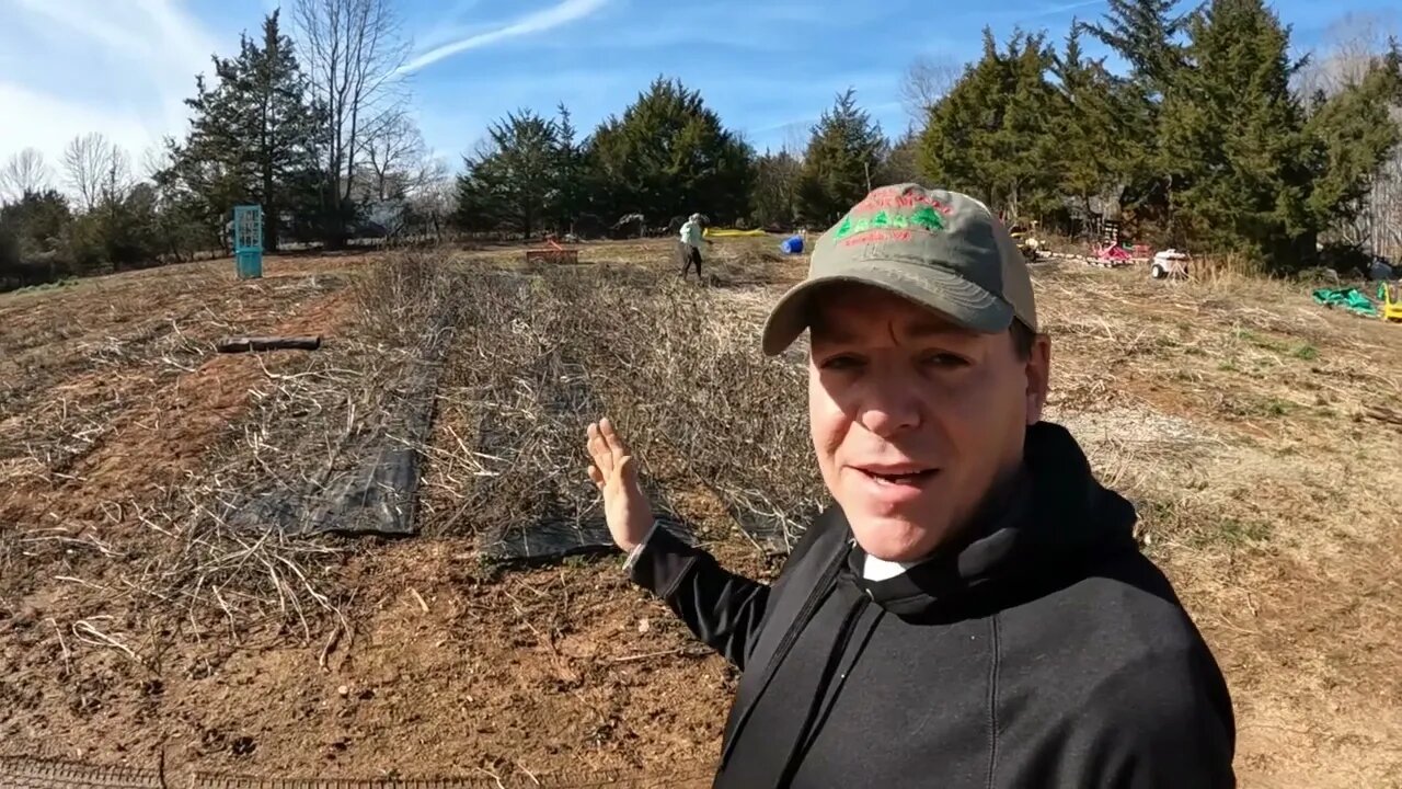 Growing Flowers - Pulling Last Year's Ground Cover