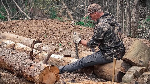 BLACK BERRY STARTS | JUST IN TIME FOR PLANTING | OFF GRID HOMESTEAD