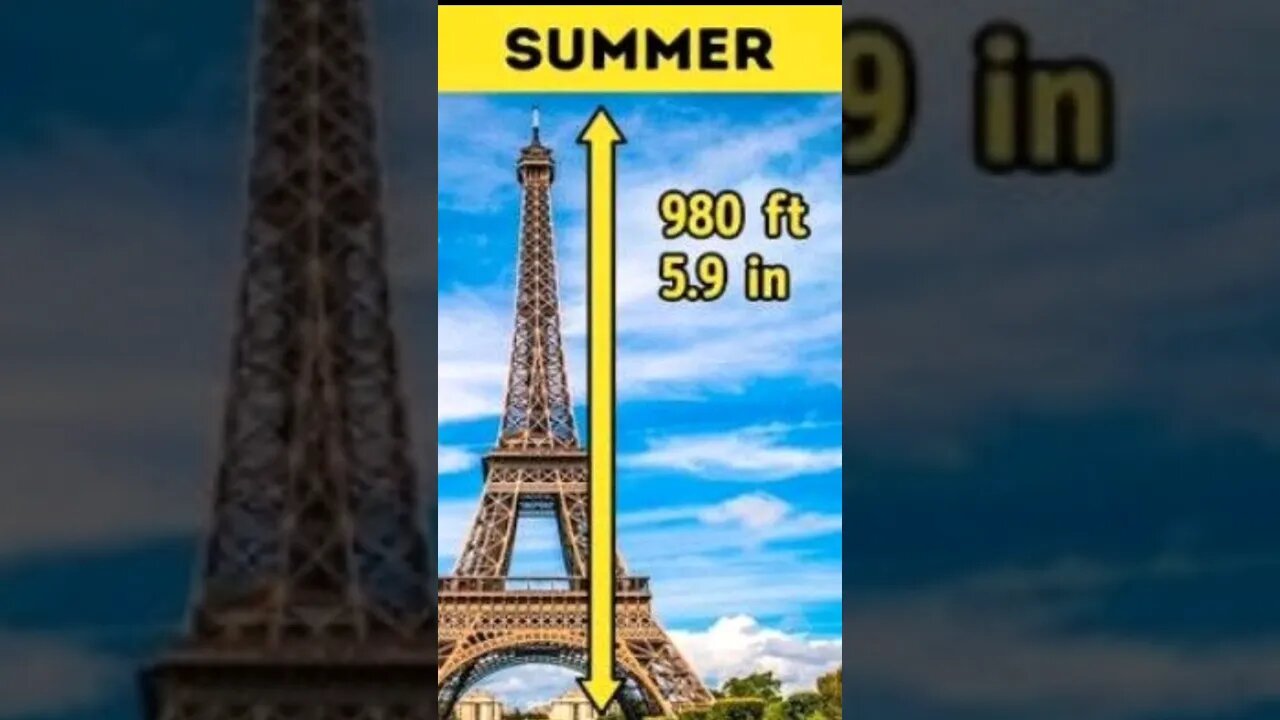Elf tower Grow In the summer 🌞 #shorts #youtubeshorts #facts #didyouknow #funfacts #viral #doyouknow