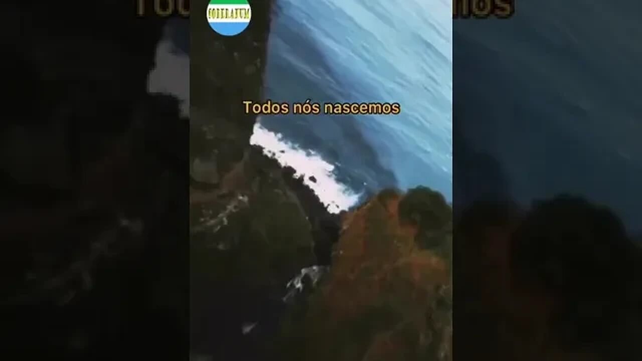 Conhecimento é Libertação