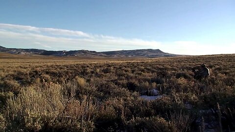 Team Coyote Craze killing public land coyotes in Wyoming!!