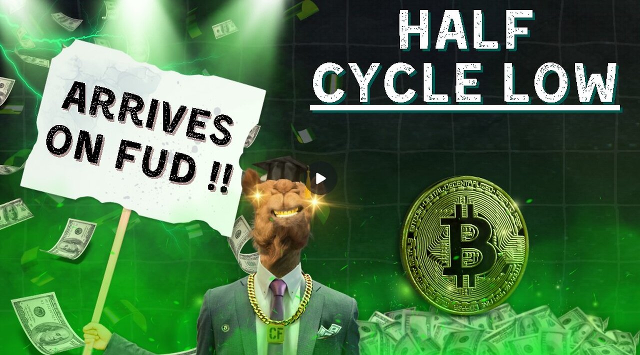 Bitcoin Half Cycle Low Arrives on FUD !!