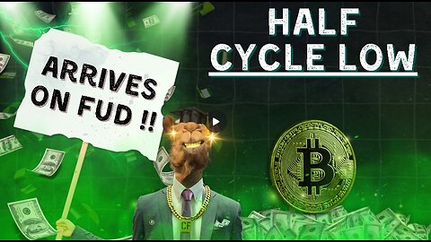 Bitcoin Half Cycle Low Arrives on FUD !!