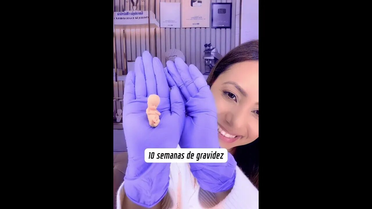 10 semanas de gravidez