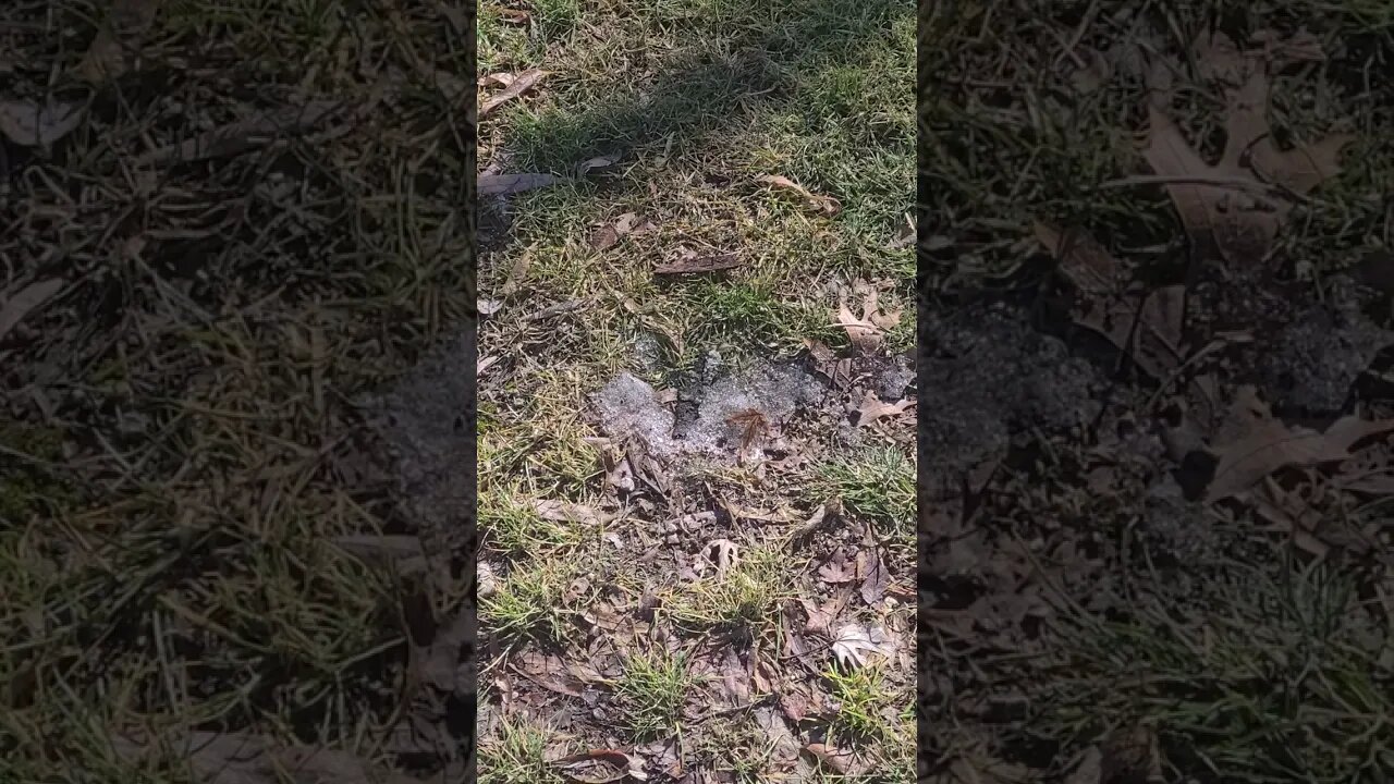 very thin ice #shorts