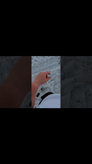 got a free car #shorts #short #shortvideo