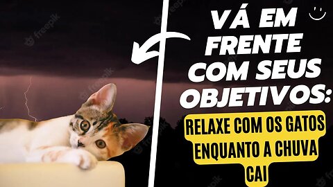 Relaxe com Imagens de Gatos e Sons de Chuva, enquanto lê Mensagens Motivacionais -Música Relaxante