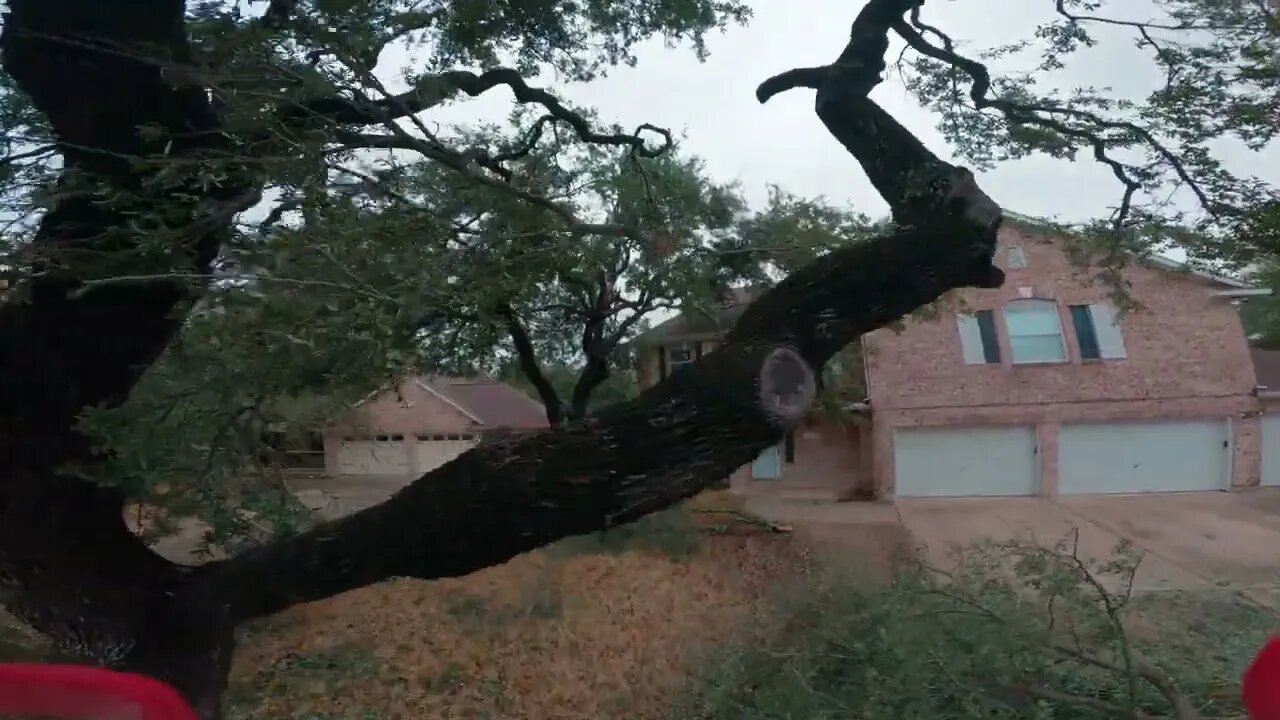 02/03/23, Post-Ice Storm Clean Up