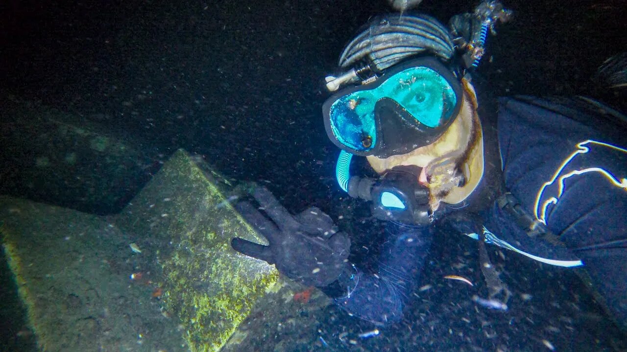 Night Dive Encounter of Amazing Creatures at Blue Heron Bridge with BLU3 NEMO Dive System