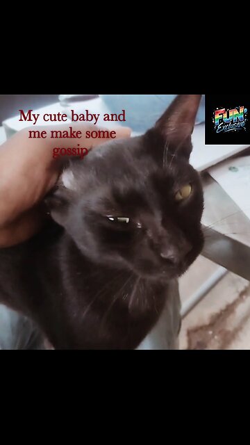My cute Black Cat Ronju And Me