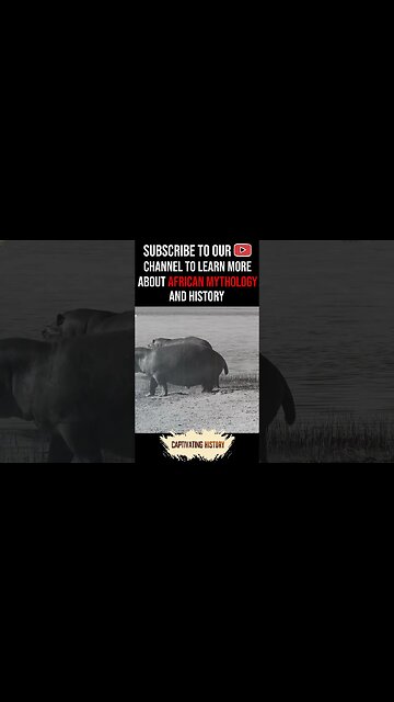 Why Do Hippos Not Eat Fish? (According to this African legend) #shorts