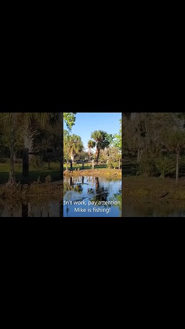 5 pound bass blow up! #laketoho #florida #largemouthbassfishing #largemouthbass