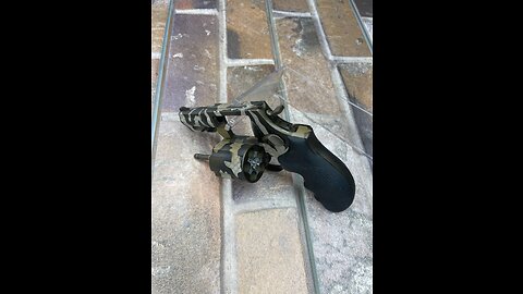 CEO Daily Feature .357 Taurus Snake Shot Cerakote