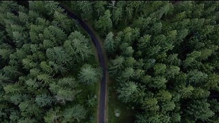 Crossing Linear Danger Areas - Fieldcraft & Survival