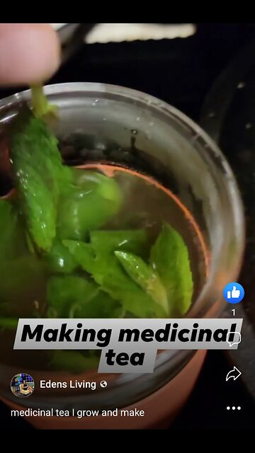 Aerogarden GROWING my own medicinal teas EDEN'S LIVING TV