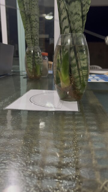 Qual a energia emanada por uma espada de São Jorge?