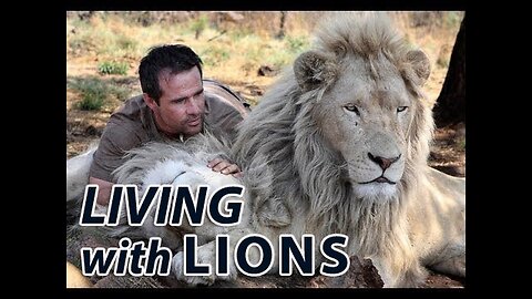 Living with Lions