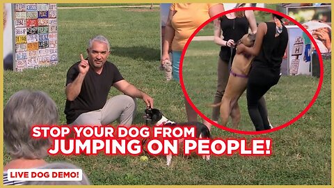 How To Stop Your Dog from Jumping on People w/ Cesar Millan!