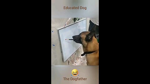 Educated Dog