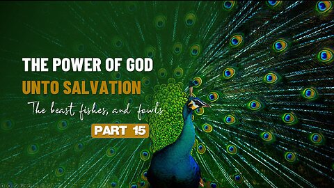 015 THE POWER OF GOD UNTO SALVATION part 15