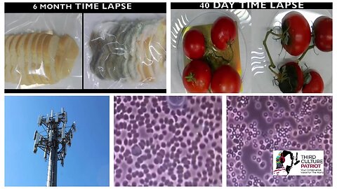 12/2/24 Dr. Emoto, Nikola Tesla, bovis Value, LIFE FORCE, Energy Vampires, 5G, EMF Radiation poisoning, electrosmog, electrical sensitivity, protecting your kids brains!