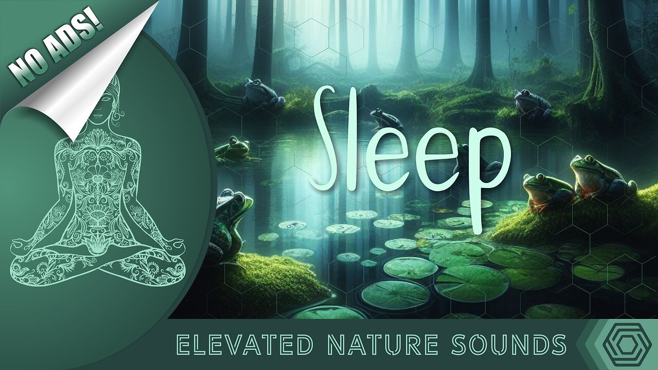 8 Hours of Immersive Sound of Frogs for Deep Sleep with True Black Screen NO ADS