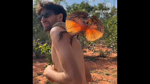 A Couple Of French Fellas Come Face-To-Face With A Rabid Baby Dragon In Australia