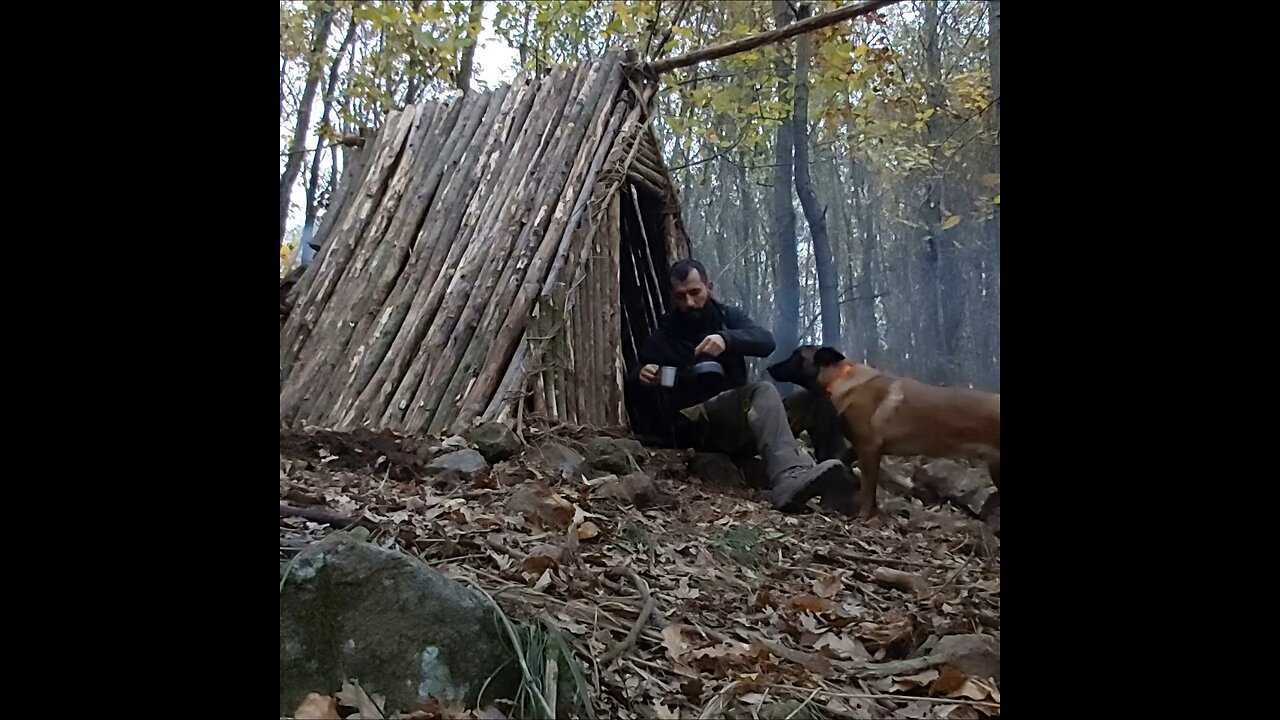 Outdoor cooking at my bushcraft shelter